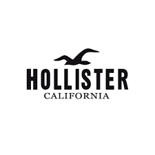 HOLISTER