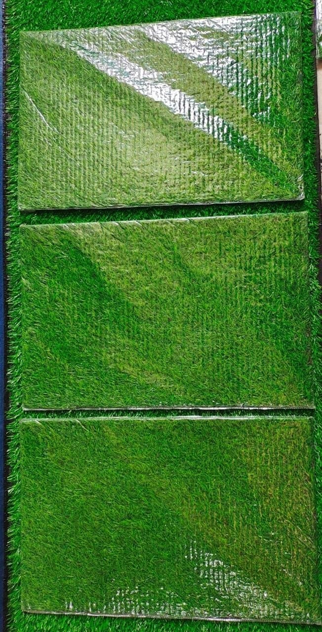 Doormat grass