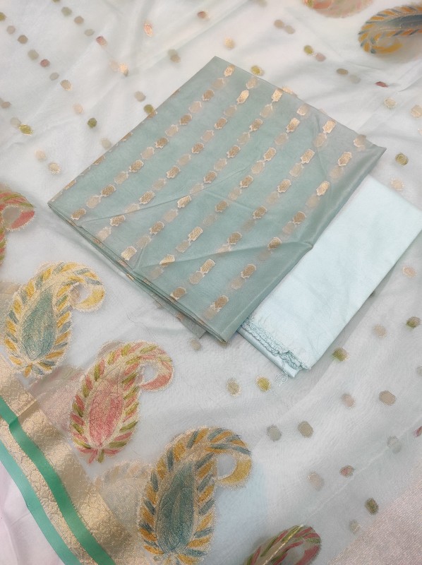 Banarasi Organza silk Hand brush dye suit