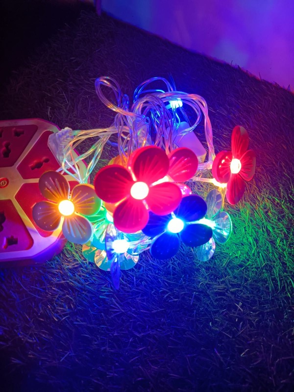 Flowers Led String  For garden Area