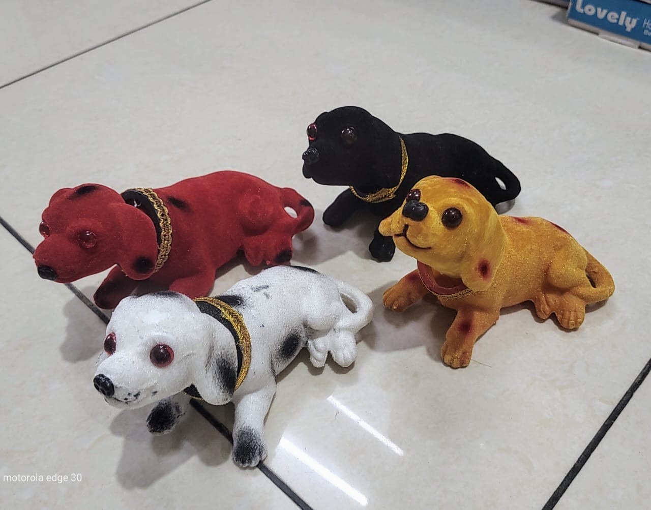 Multicolour Dog toy