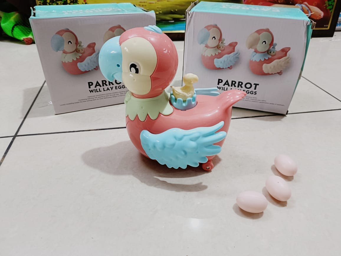 Parrot will lay eggs